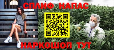 дмт Славгород
